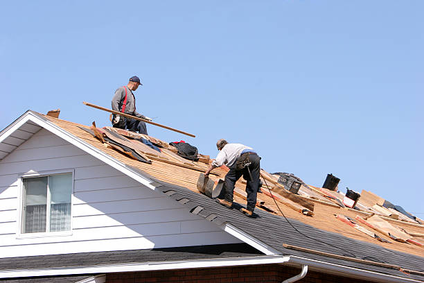 Skylights in Center Line, MI